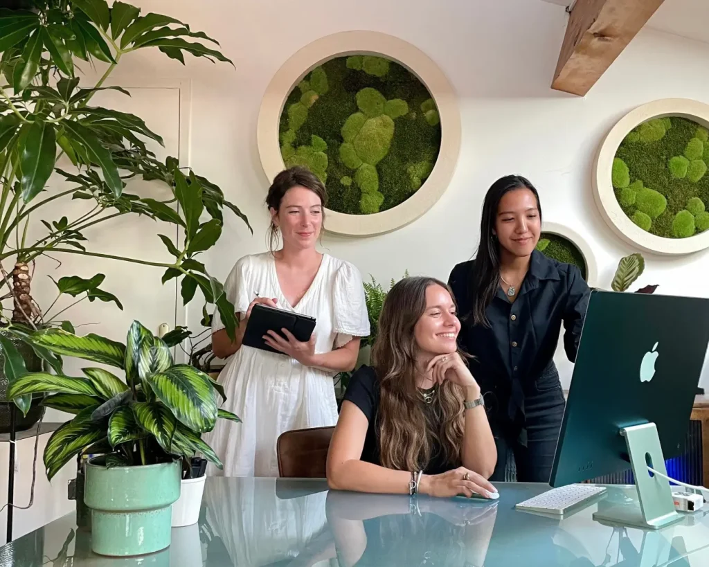 Agence M Com Marseille Decoration Florale Ricard Amenagement Jardin Terrasse Eentretien location plante equipe buerau projet