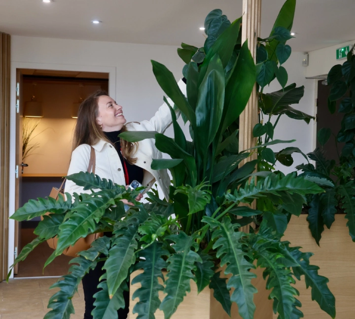 Agence M Com Marseille Decoration Florale Ricard Amenagement Jardin Terrasse Entretien location 2020 chloe directrice