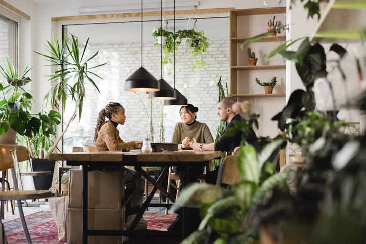 Agence M Com Decoration Florale Ricard Plantes Interieur Luminosite Bureau