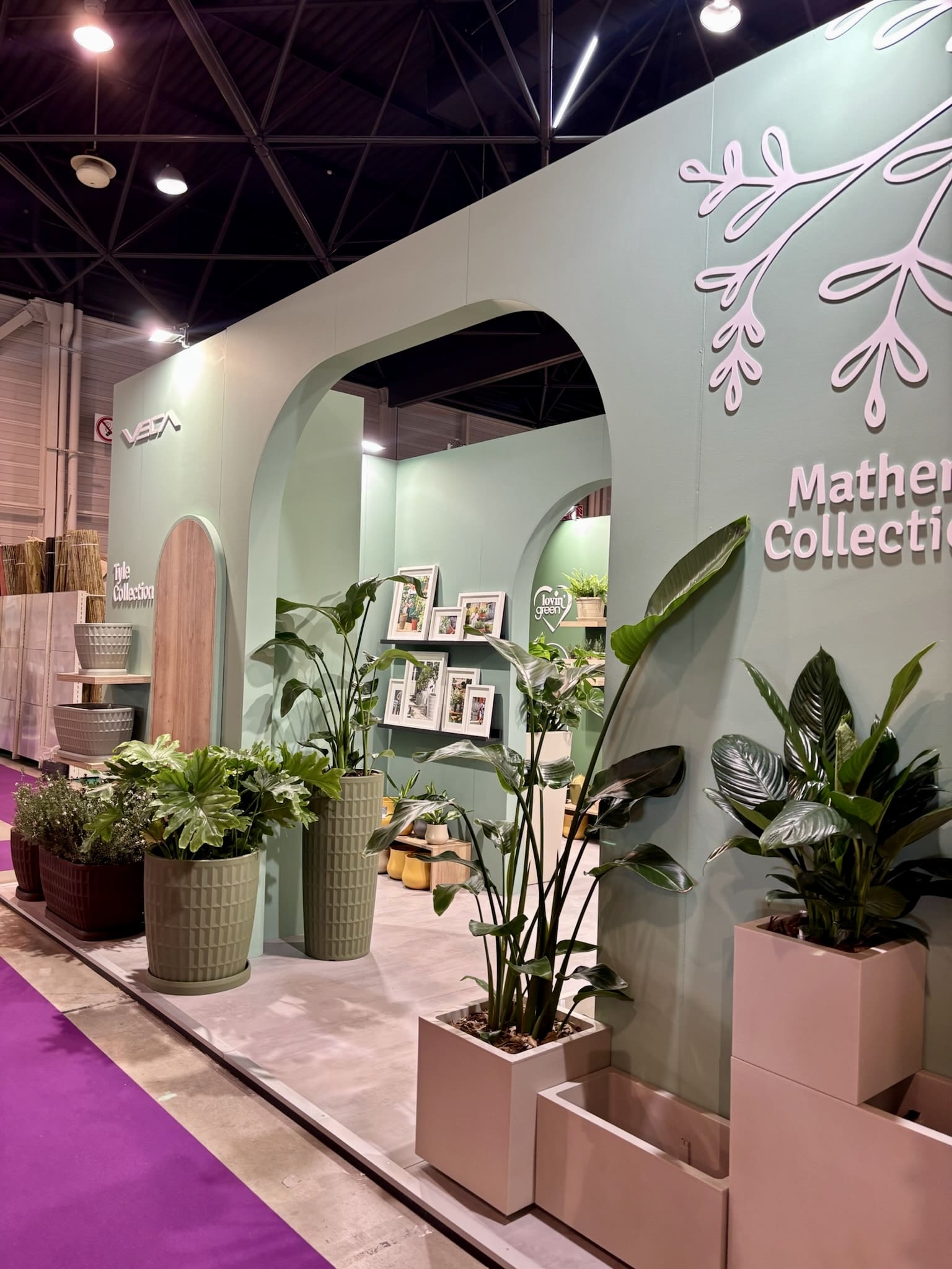 location plante stands
