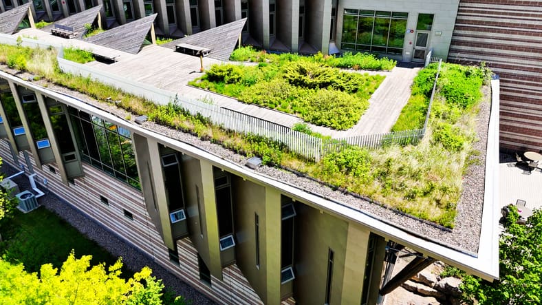 Decoration Florale Ricard Rooftop Vegetalise Marseille PACA