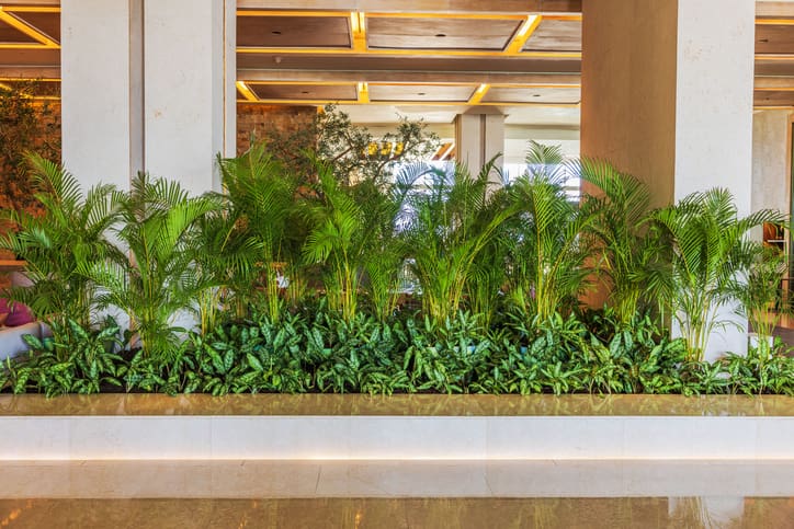 Decoration Florale Ricard Vegetalisation Hotel Hall PACA