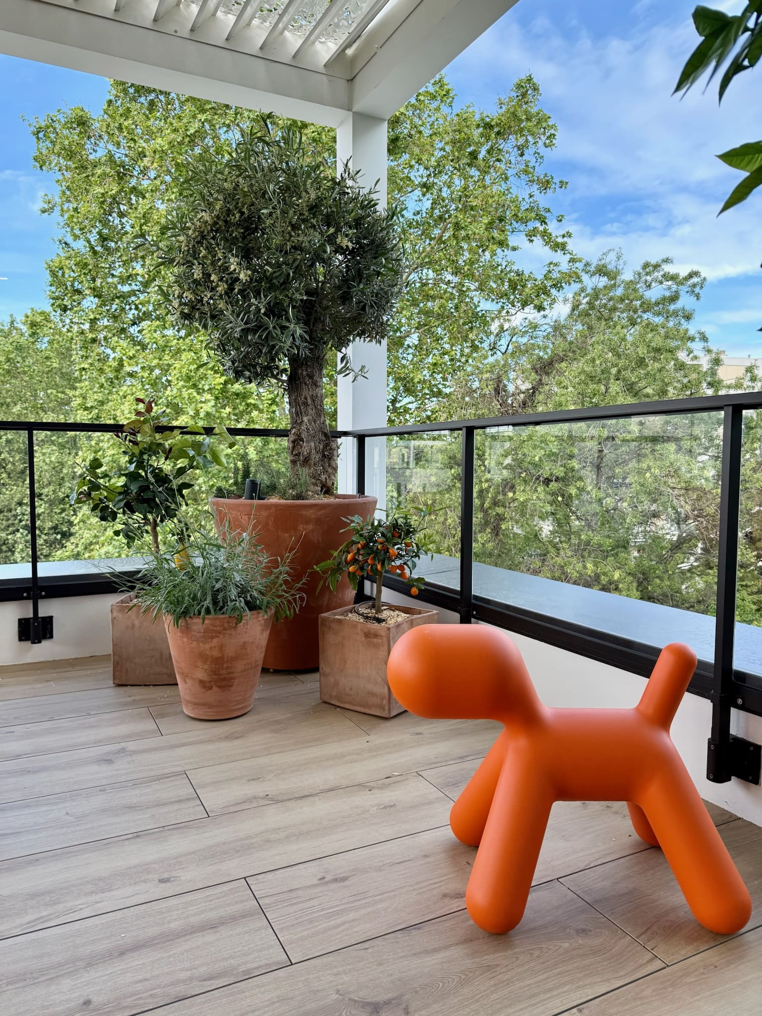 paysagiste marseille terrasse