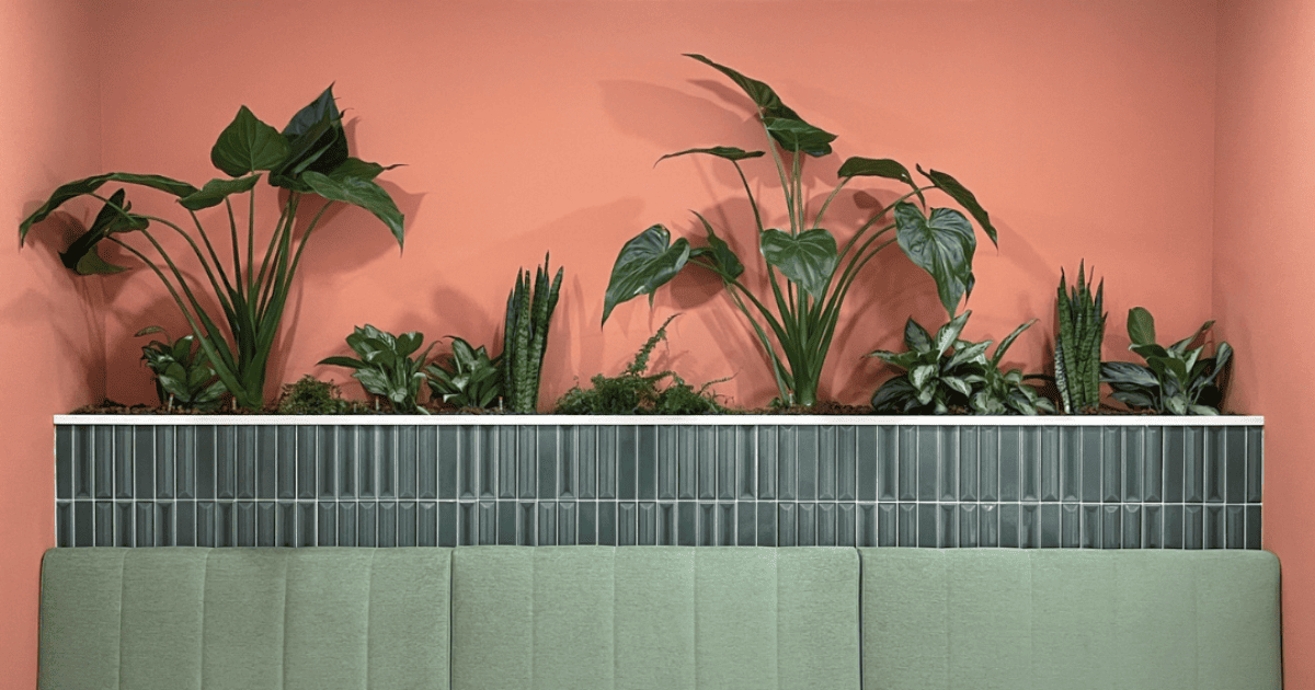 vegetalisation-hotel-kyriad-paca