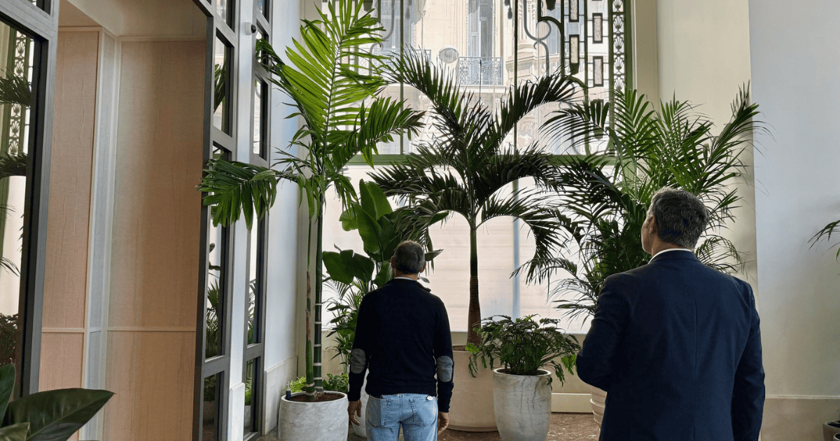 vegetalisation decofloralericard hotel nice